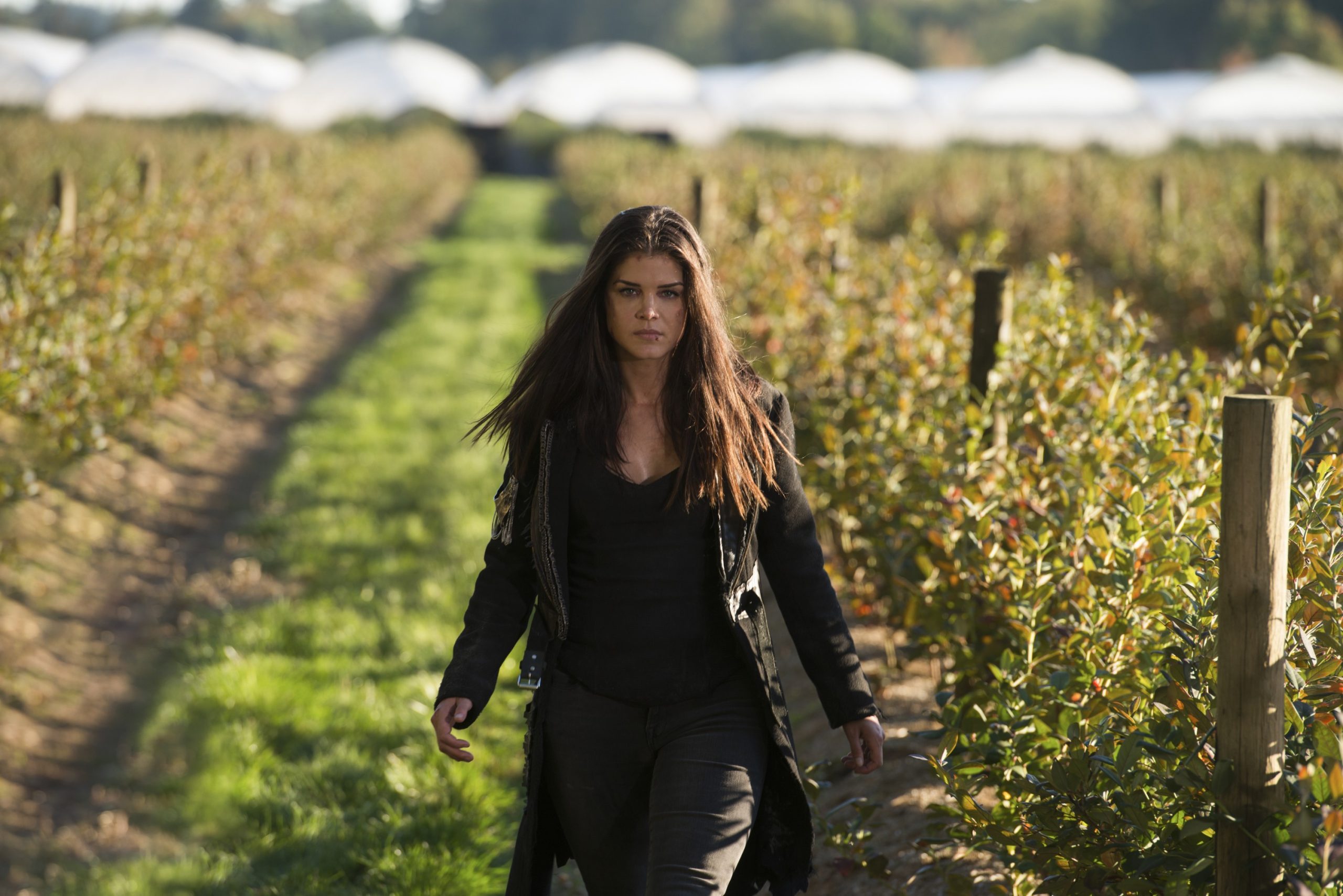 The 100 Season Four: Spoilers and Surprises