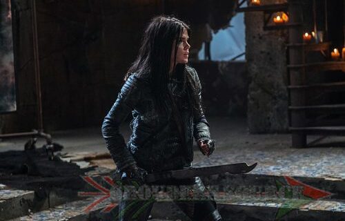 The 100 Cast