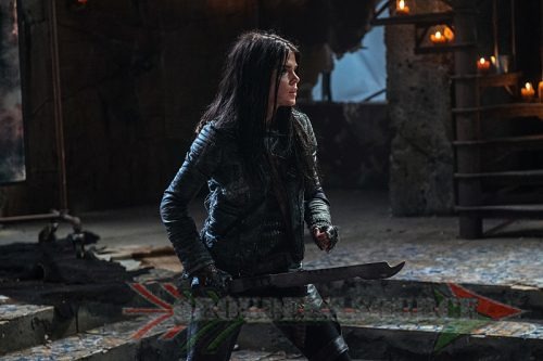 The 100 Cast