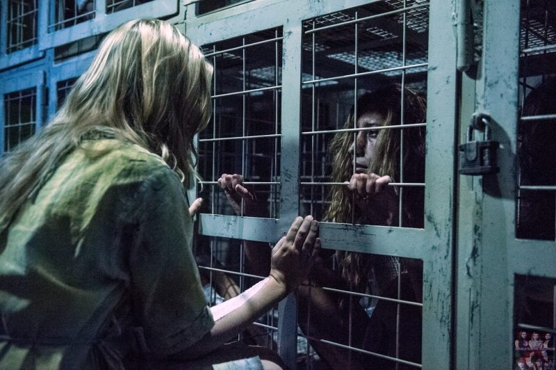 The 100 Cast
