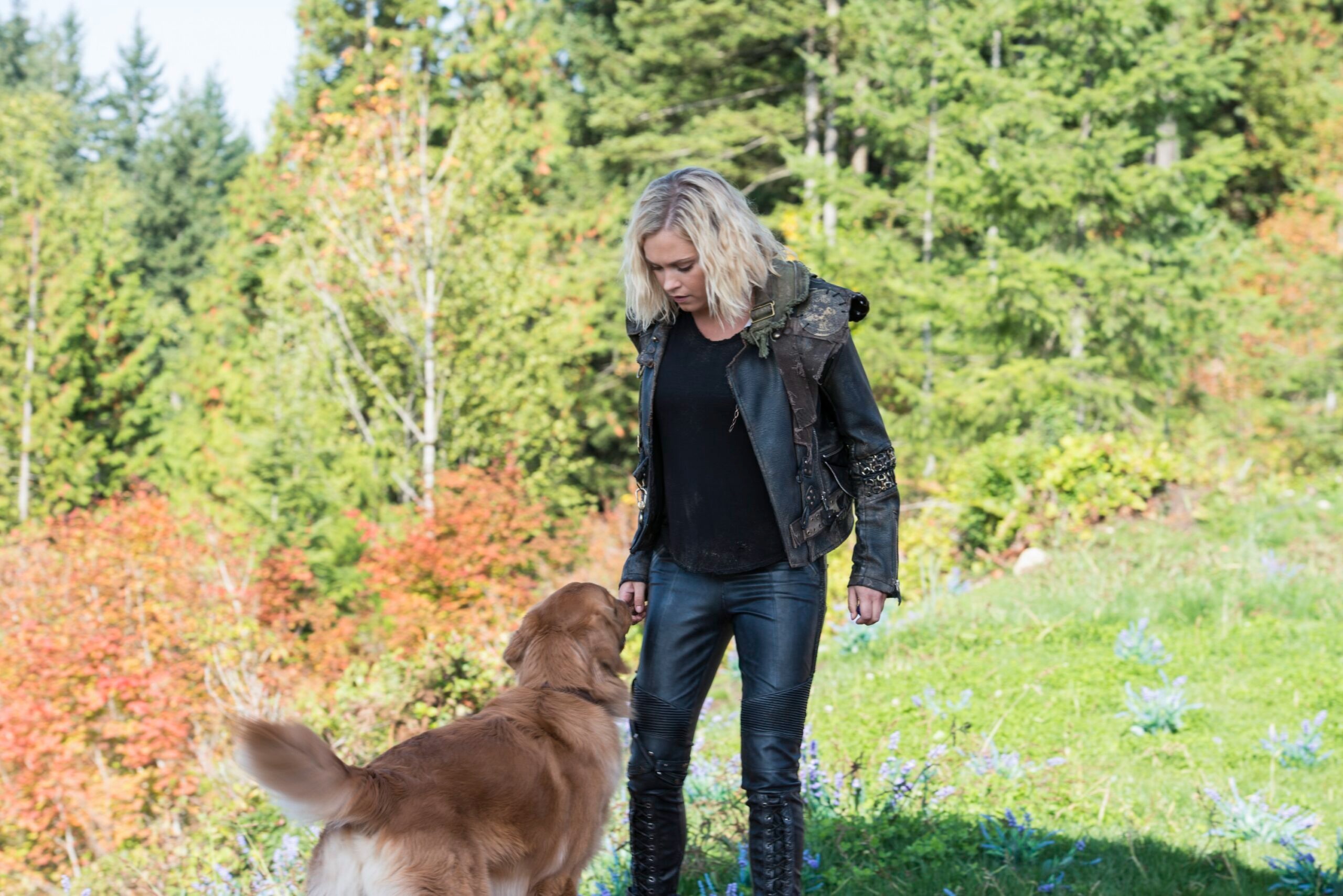 The 100 Season Three DVD & Blu-Ray Release Announcement