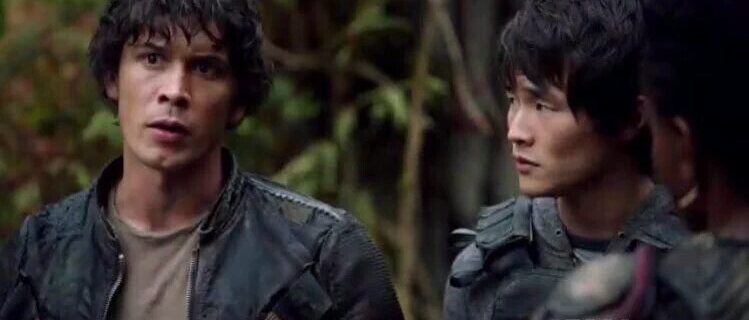 The 100 'Terms and Conditions' Synopsis