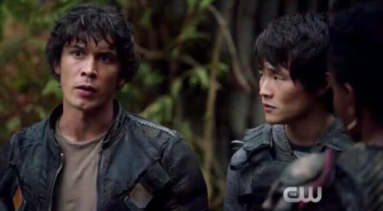 The 100 'Terms and Conditions' Synopsis