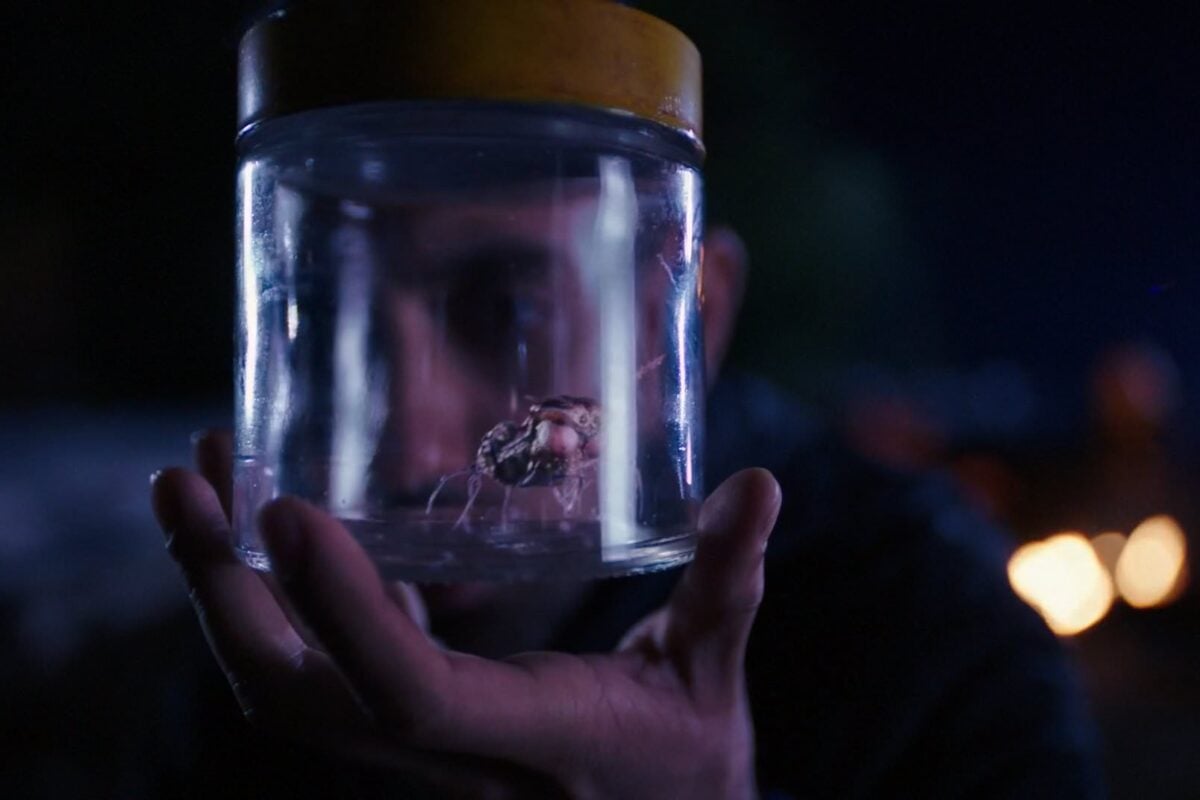 The 100 Sanctum Recap/Review