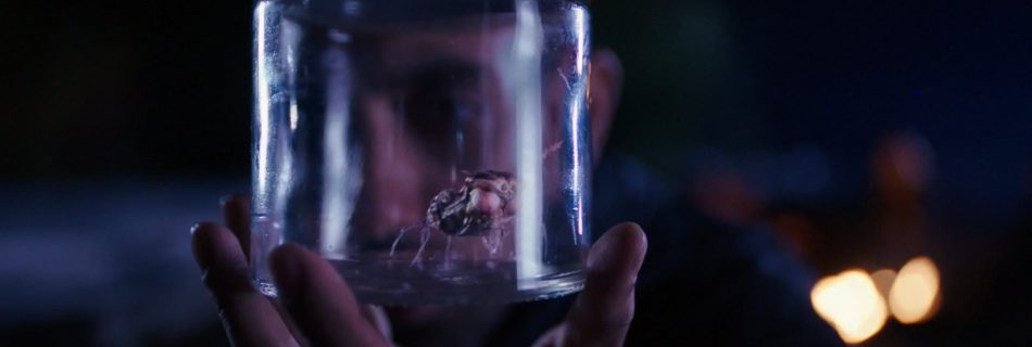 The 100 Sanctum Recap/Review