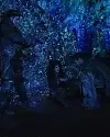 The 100 Inside Red Sun Rising